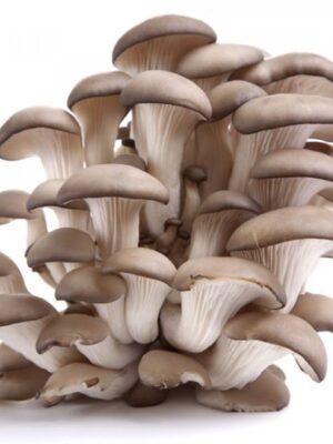 Organska Bukovača 300g