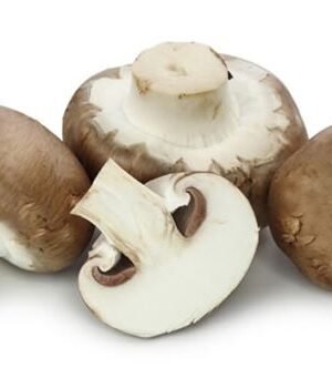 Organski Zlatni Šampinjon 300g