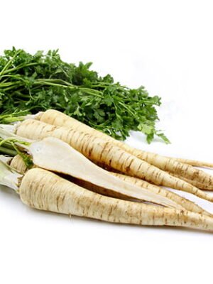 Organski Peršun Koren veza