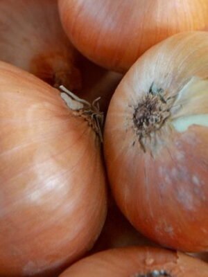 Organski Crni Luk (žuti) 500g