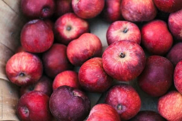 organske jabuke crvene