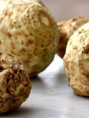 Organski Celer Koren 1 komad