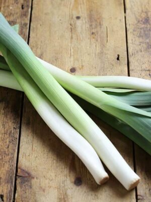 Organski Praziluk komad