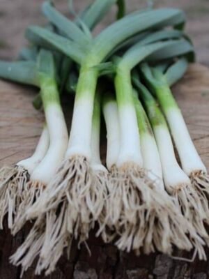 Organski Beli Luk Mladi Bio Salaš Idei 1 veza