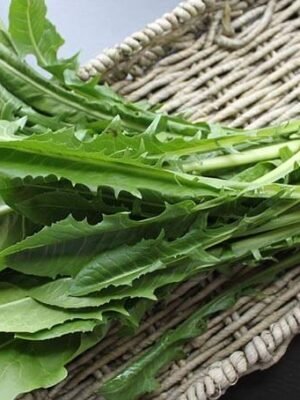 Organski Maslačak List Bio Salaš Idei 50g