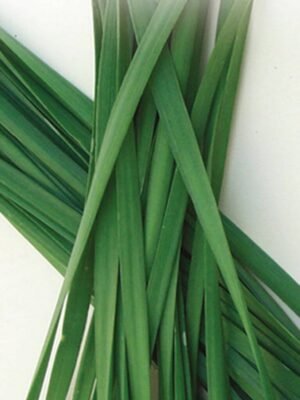 Organski Vlašac (Beli Luk) Bio Salaš Idei 1 veza