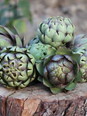 Organska Artičoka Bio Salaš Idei 1 komad