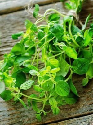 Organski Origano Bio Salaš Idei 1 veza