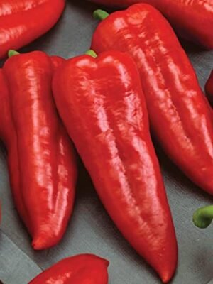 Organska Paprika Crvena 500g