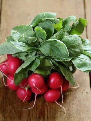 Organske Rotkvice veza