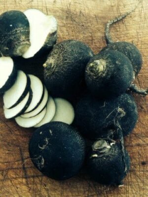 Organska Crna Rotkva 500g