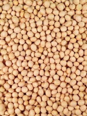 Organska Soja Sirova Bio Salaš Idei 500g