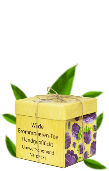 organski caj divlja kupina organic tea organski caj divlja kupina organic tea