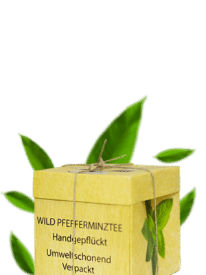 Organski Čaj Divlja Nana Organic Tea