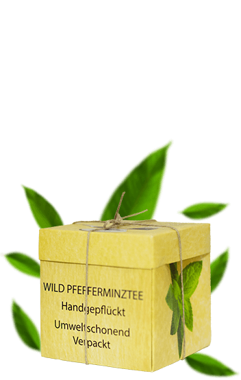 organski caj divlja nana organic tea organski caj divlja nana organic tea