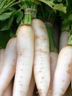 organski dajkon