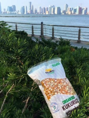 Organski Kukuruz Kokičar OrgaNika 400g