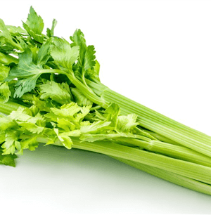 Organski Celer Stablaš Uvozni 1 komad