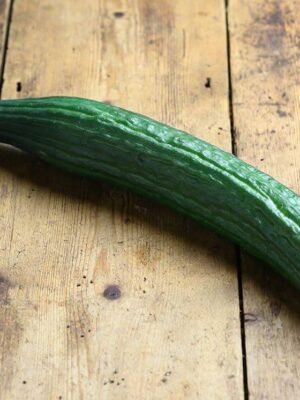 Organski Krastavac Uvozni 500g