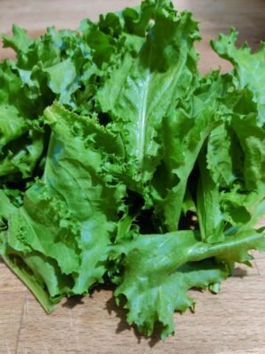 organski mladi radic bio salas idei 50g