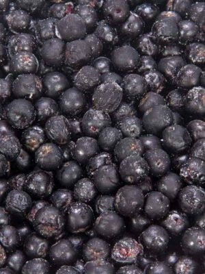 Organska Aronija Zamrznuta Dolovac 200g