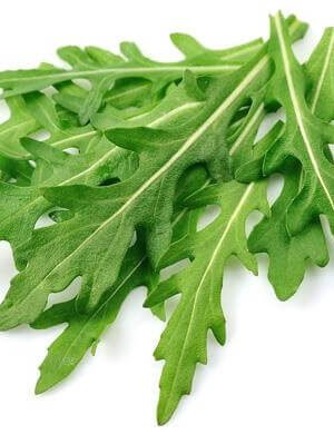 Organska Rukola Divlja 100g