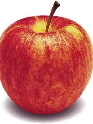 Organske Jabuke Uvoz 500g