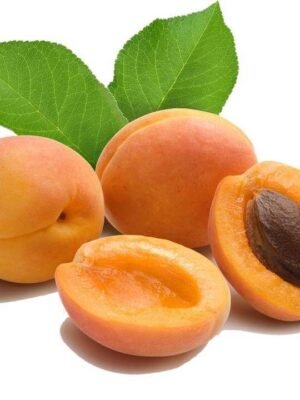 Organske Kajsije Uvoz 500g