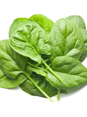 Organski Mladi Spanać 100g Bio Salaš Idei