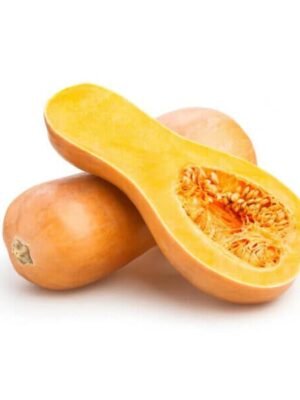 Organska Bundeva Muskatna Bio Salaš Idei 1kg