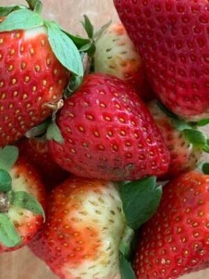 Organske Jagode Uvoz 300g