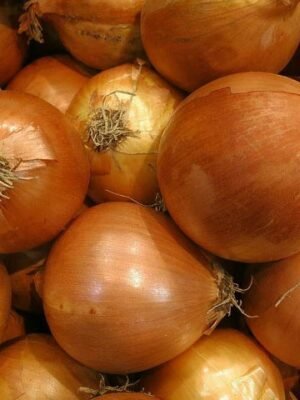 Organski Crni Luk Žuti Uvoz 500g