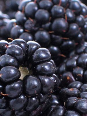 Organske Kupine 250g